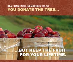 Charitable-Trust1